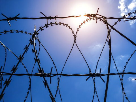 Steel rolled barbed wire on sunny blue sky with sun flare background