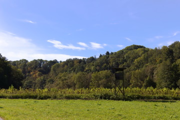 Hunters high seat at the edge of a sunflower field