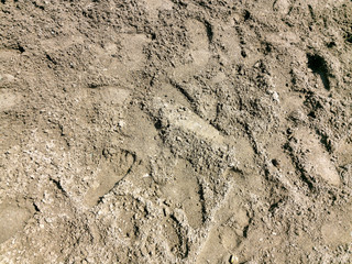 sands with footprints at the beach