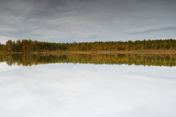  autumn forest on the lake
