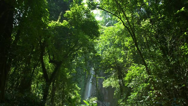 Amazing Unseen Waterfall view in deep forest Lush green leafes and sunshine in the morning. Saraburi Asia Thailand