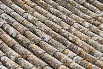 tile roof of a medieval house