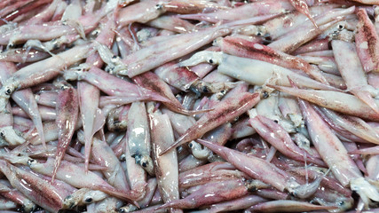Fresh Squid on a market stall. Closeup fresh squid on the market. Fresh seafood. Fresh seafood market in Asia.