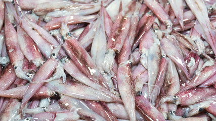 Fresh Squid on a market stall. Closeup fresh squid on the market. Fresh seafood. Fresh seafood market in Asia.