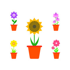 Spring Flowers In Pots, Isolated On White Background. Vector Illustration