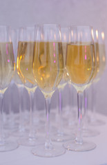 festive drink champagne glasses table fun party