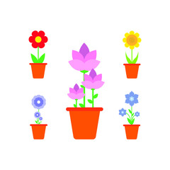 Spring Flowers In Pots, Isolated On White Background. Vector Illustration