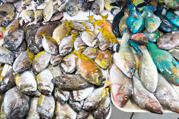 assortment of fresh fishes at fishmonger. Tropical fish in a seafood store. Fresh seafood market in Asia.