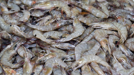 close up fresh shrimps from top view ready for sale at the market, shrimps background with copy space