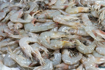close up fresh shrimps from top view ready for sale at the market, shrimps background with copy space