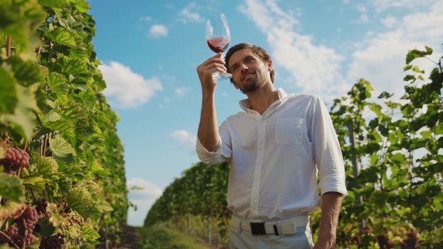 Attractive sommelier holding wineglass controlling red wine color and texture tasting at vineyard. Concept of winemaking.