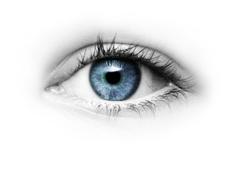 Auge mit Grüner Pupille freigestellt auf Weißem hintergrund - obrazy, fototapety, plakaty