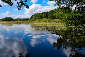 See im Wald mit Wolkenspiegelung