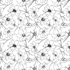 Vector Cosmos floral botanical flowers. Black and white engraved ink art. Seamless background pattern.