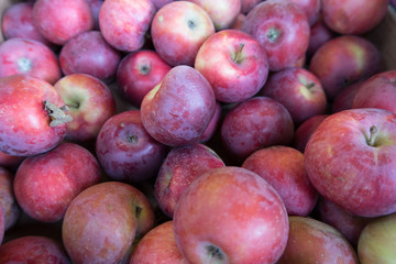 Äpfel