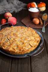 Homemade apple pie on vintage tray, apples, pumpkins and pie ingradients on wooden dark brown background.