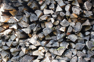 Dry and chopped piled firewood