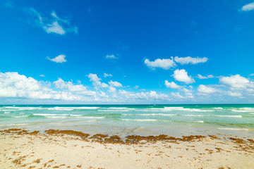 White sand and turquoise water in Miami Beach