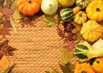 decorative mix of coloured pumpkins