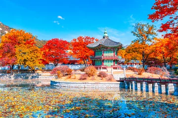 Velvet curtains Seoel Beautiful  Autumn in Gyeongbokgung palace, Hyangwonjeong pavilion in Seoul of South Korea