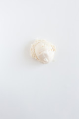 Vanilla Flavored Gelato Ice Cream Scoop