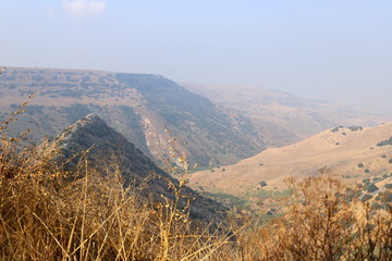 Gamla is an ancient Jewish city on the western slope of the Golan Upland, 18 km northeast of the Sea of Galilee.