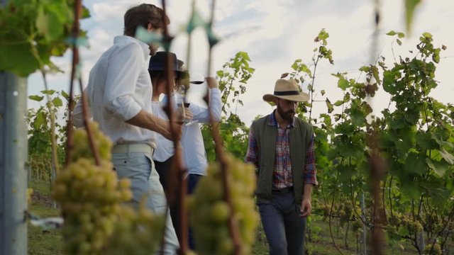 Attractive elegant people tasting red wine on degustation following grape farmer guiding private tour during harvest at vineyard.