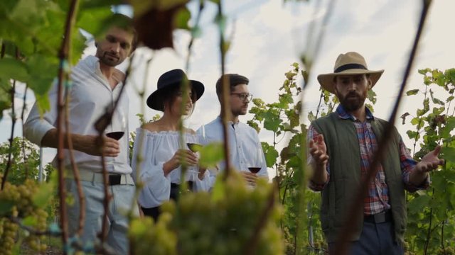 Attractive luxury friends tasting wine walking with winemaker along grape vines on vip group wine degustation tour. Winery culture.