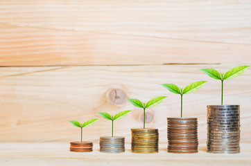 Fototapeta na wymiar financial money saving concept. green plant growing on coin stack.