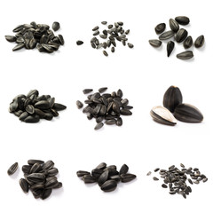 Set of Sunflower seeds isolated on white background