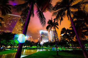 Palm trees and skyscrapers in Bayfront park