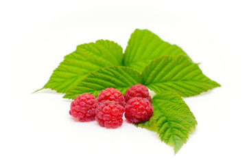 Red raspberry with leaves on white background