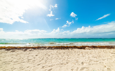 Sun shining over Raisins Clairs beach in Guadeloupe
