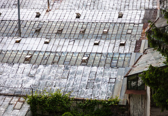 Fototapeta premium Glass roofs of the old greenhouses