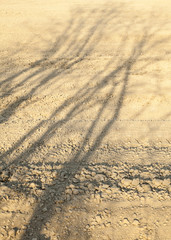 Ploughed field with trees' shadows