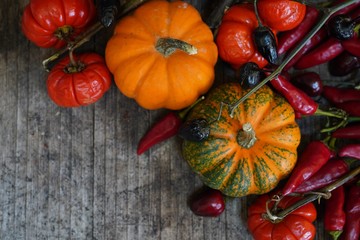 Fall Autumn Composition with pumpkins and colorful  ornamantal peppers