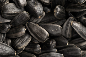 organic sunflower seed for background uses