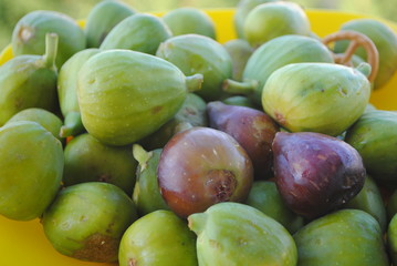 Fresh figs. Green and purple. Vegan food. Vacation in Montenegro.