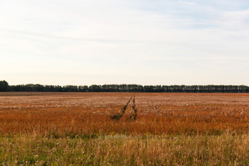 A picture of a rural landscape for a postcard or calendar.