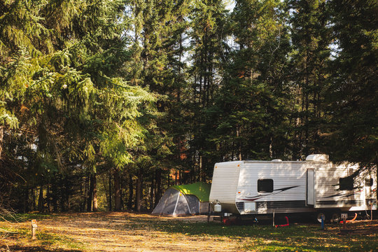 A camper trailer and tent surrounded by tall pine trees parked in a deserted campsite in a autumn daytime landscape