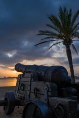 Old cannon on wooden gun carriage on the promenade in the Harbor on cloudy sunset and palm tree...