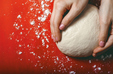 female hands in flour closeup kneading dough on table, close up