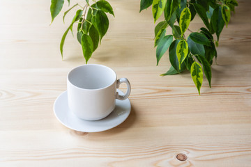 Empty white cup with saucer for coffee, tea or hot chocolate on a wooden table on the background of ficus leaves