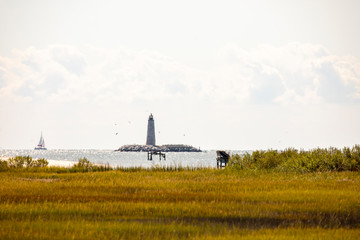 New Point Comfort Lighthouse and sailboat