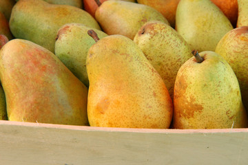 fresh pears in a wooden basket