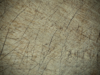 Texture of bark old wood use as natural background