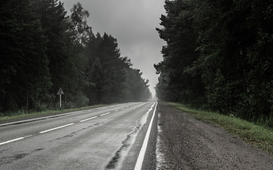 wet road and gray clouds in forest in krasnoyarsk region during rainy summer day