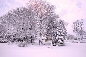 Country Snow Scene in England