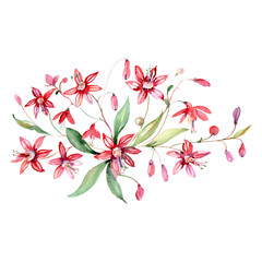 Bouquet floral botanical flowers. Watercolor background set. Isolated bouquets illustration element.