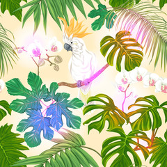 Seamless pattern, background. with tropical plants